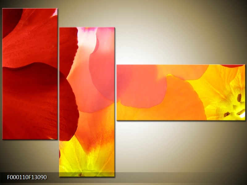 Vícedílný moderní obraz na stěnu, třídílný 130x90 cm