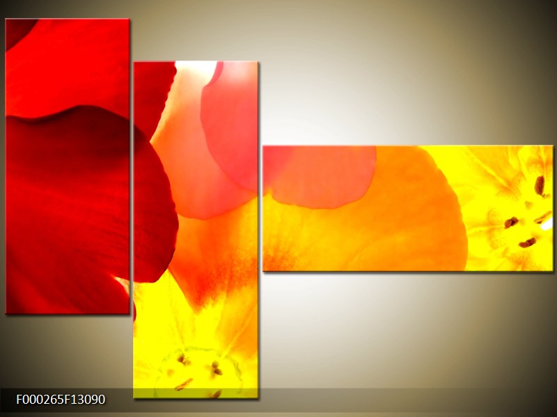 Vícedílný moderní obraz na stěnu, třídílný 130x90 cm