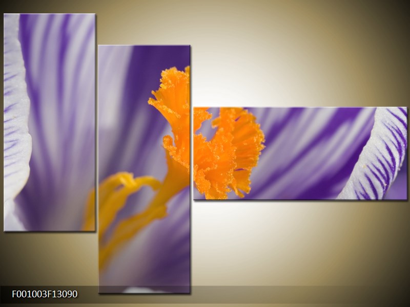 Vícedílný moderní obraz na stěnu, třídílný 130x90 cm