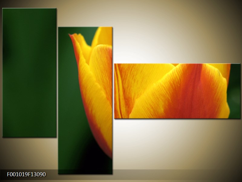 Vícedílný moderní obraz na stěnu, třídílný 130x90 cm