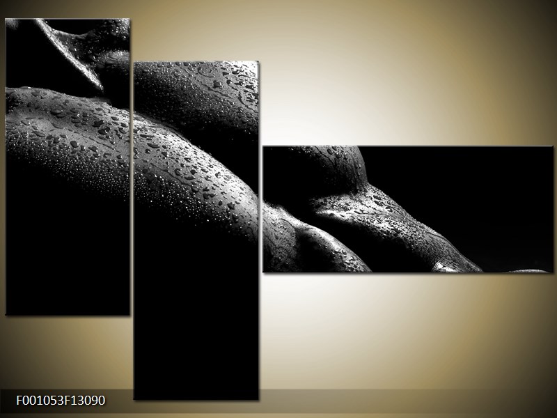 Vícedílný moderní obraz na stěnu, třídílný 130x90 cm