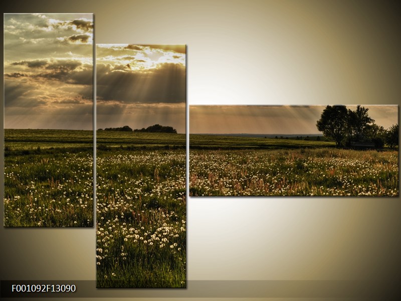 Vícedílný moderní obraz na stěnu, třídílný 130x90 cm