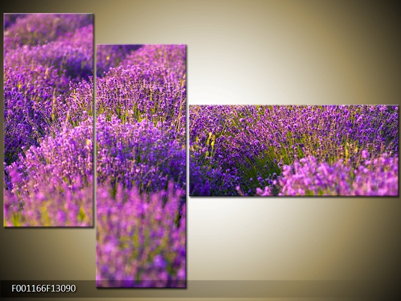 Vícedílný moderní obraz na stěnu, třídílný 130x90 cm