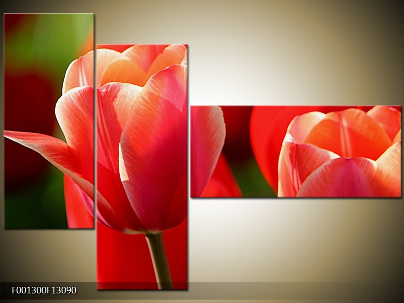 Vícedílný moderní obraz na stěnu, třídílný 130x90 cm