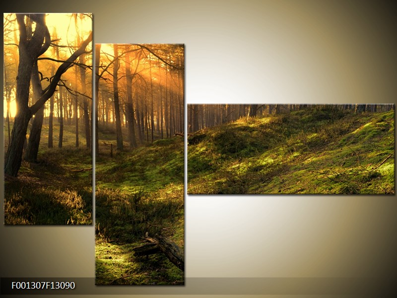 Vícedílný moderní obraz na stěnu, třídílný 130x90 cm