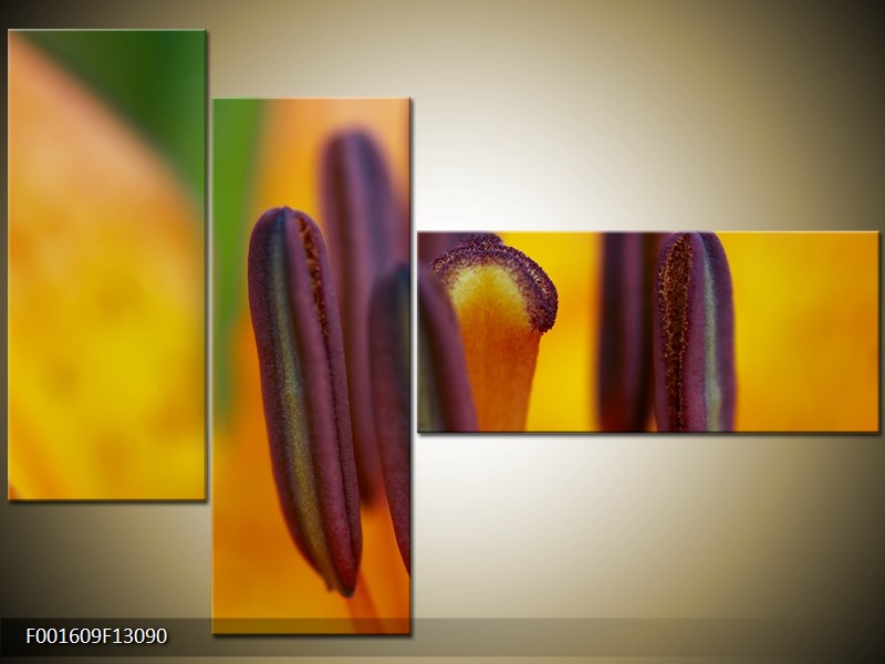 Vícedílný moderní obraz na stěnu, třídílný 130x90 cm